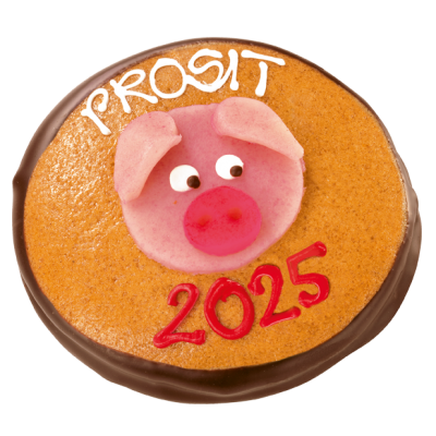 Lucky Pig New Year Coin 